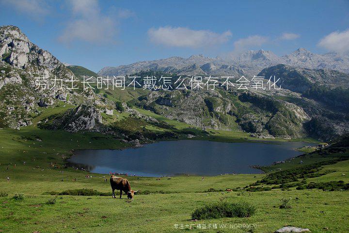 劳力士长时间不戴怎么保存不会氧化