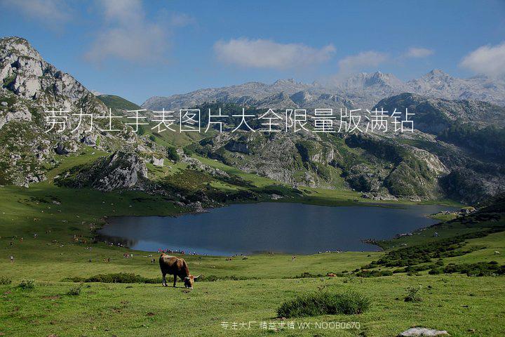 劳力士手表图片大全限量版满钻