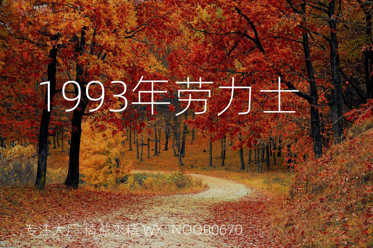 1993年劳力士