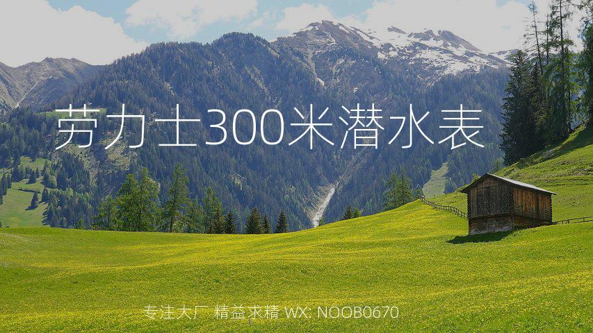 劳力士300米潜水表