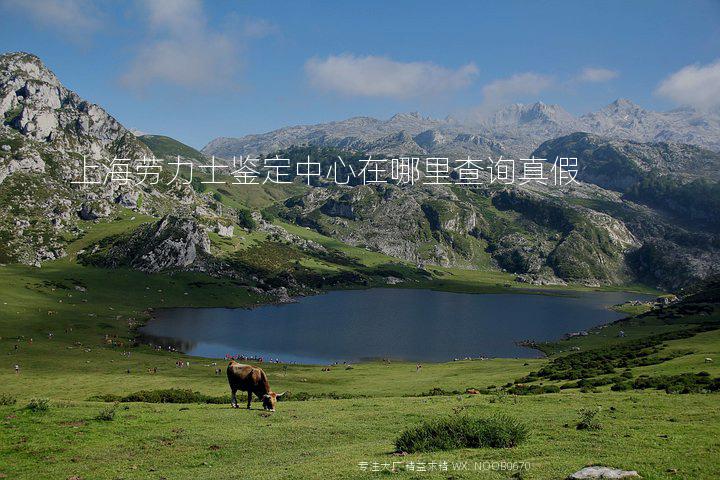 上海劳力士鉴定中心在哪里查询真假