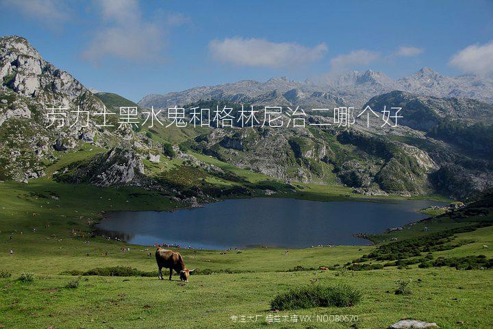 劳力士黑水鬼和格林尼治二哪个好