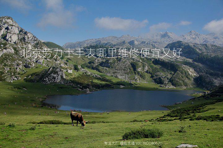 北京劳力士手表哪里维修便宜又好