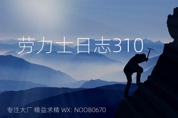 劳力士日志310