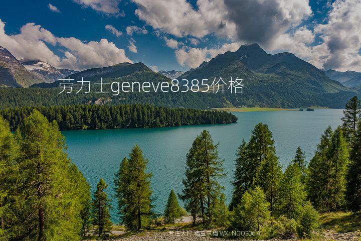 劳力士geneve8385价格