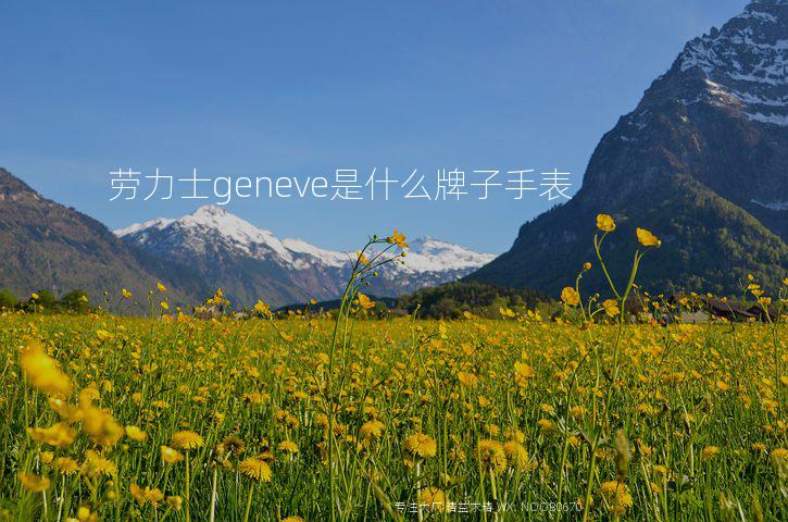 劳力士geneve是什么牌子手表