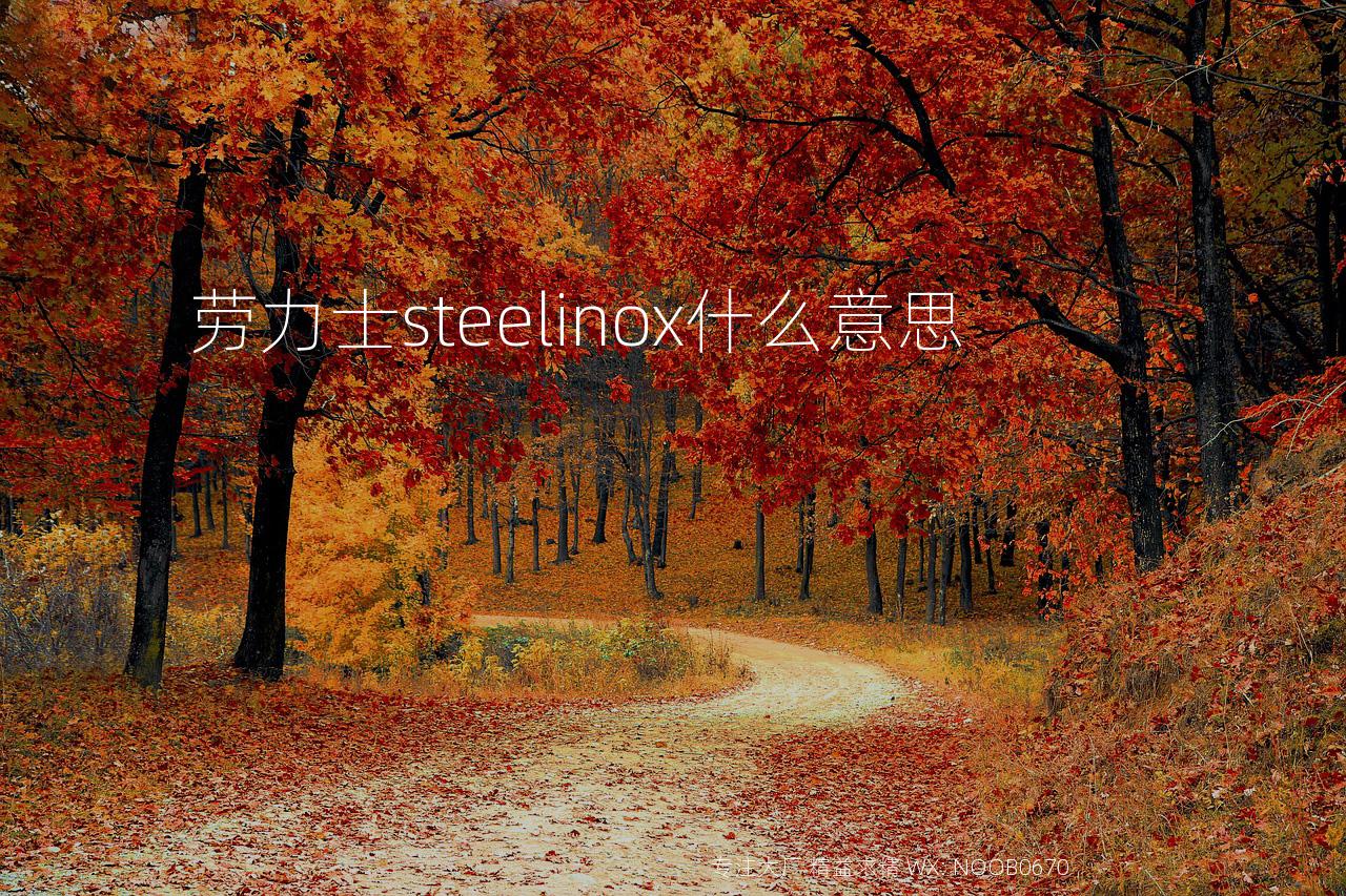 劳力士steelinox什么意思