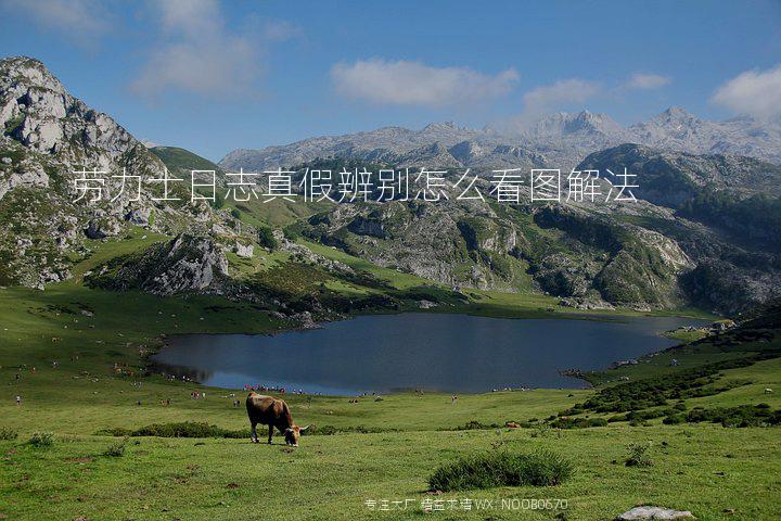 劳力士日志真假辨别怎么看图解法