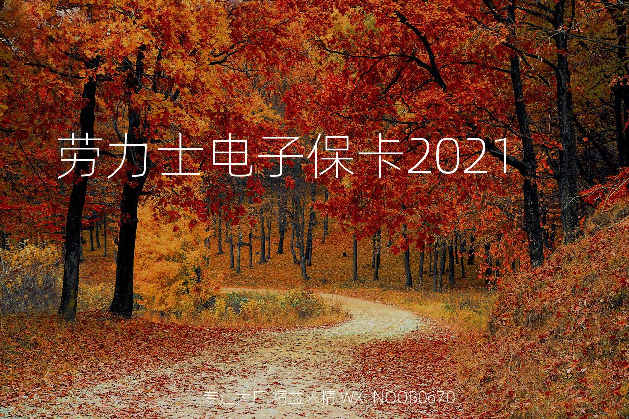 劳力士电子保卡2021