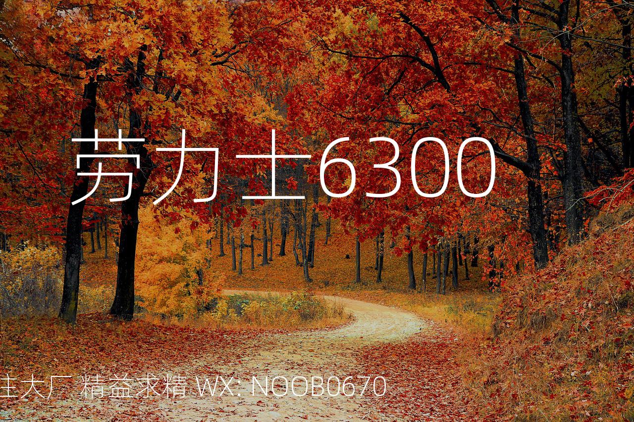 劳力士6300