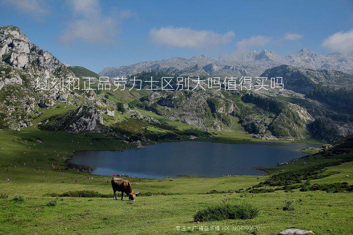 复刻和正品劳力士区别大吗值得买吗