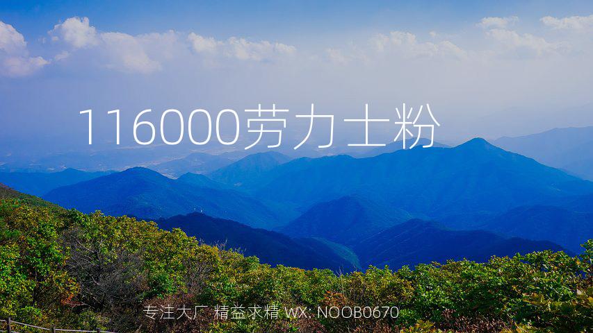 116000劳力士粉