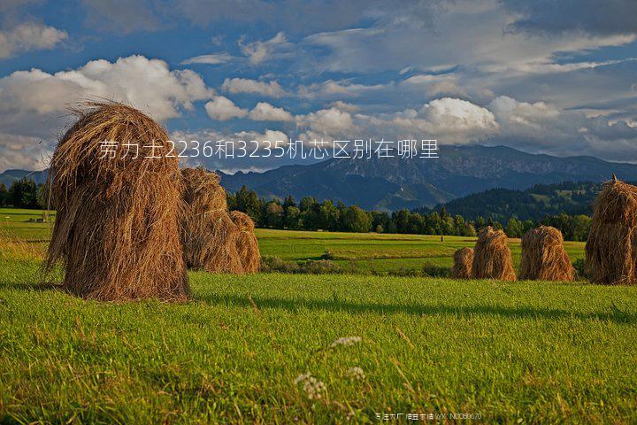 劳力士2236和3235机芯区别在哪里