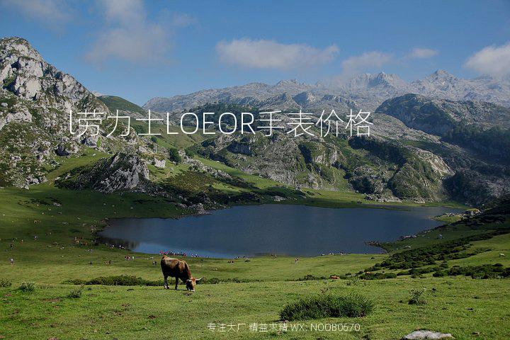 l劳力士LOEOR手表价格