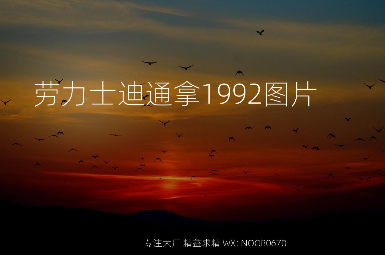 劳力士迪通拿1992图片