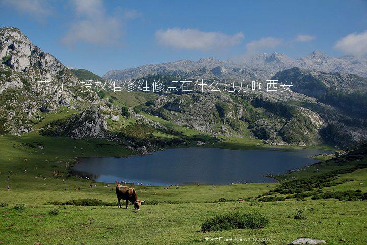 劳力士授权维修维修点在什么地方啊西安