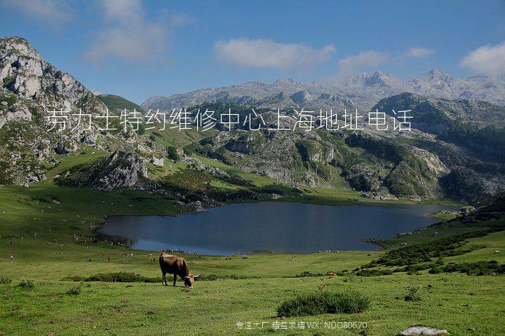 劳力士特约维修中心上海地址电话