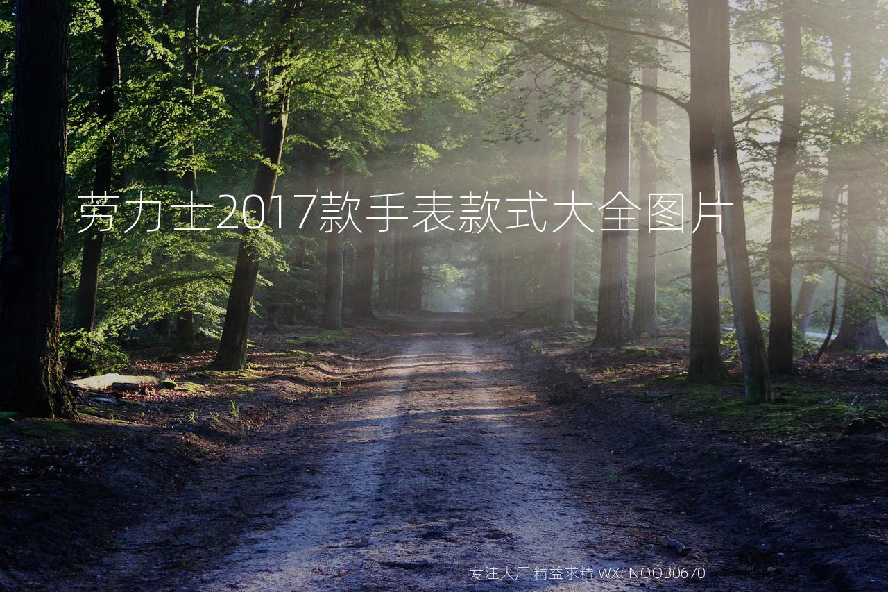 劳力士2017款手表款式大全图片