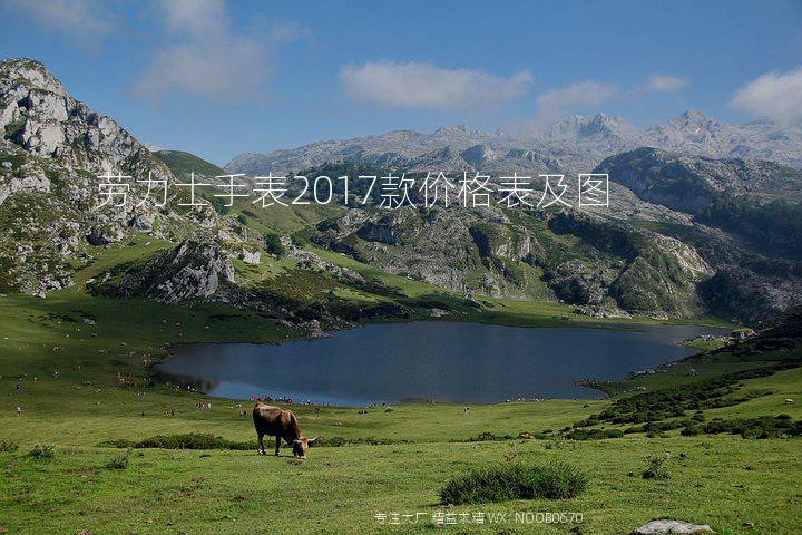 劳力士手表2017款价格表及图