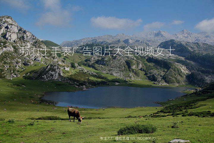 劳力士手表广告图片大全视频女士