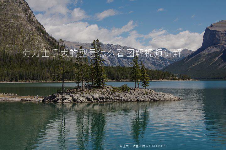 劳力士手表的型号怎么看图解视频讲解