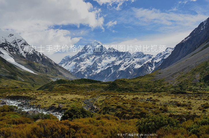 劳力士手表价格怎么查真假图片对比视频