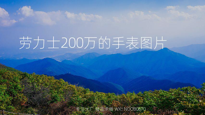 劳力士200万的手表图片