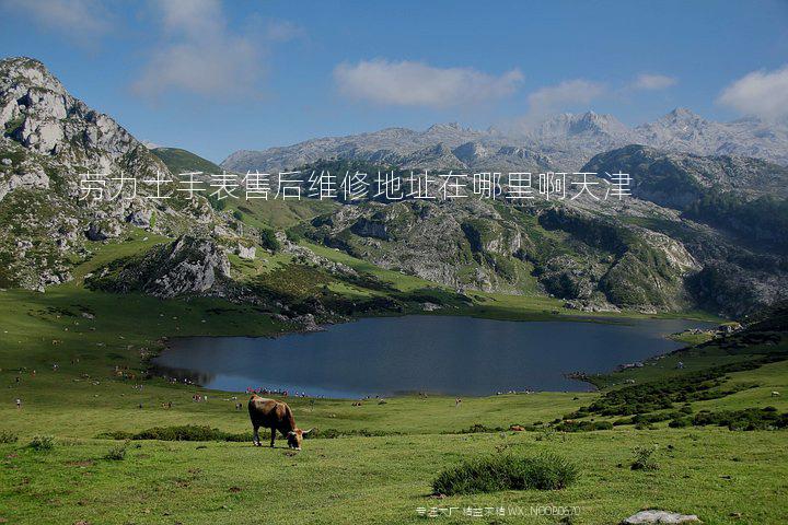 劳力士手表售后维修地址在哪里啊天津