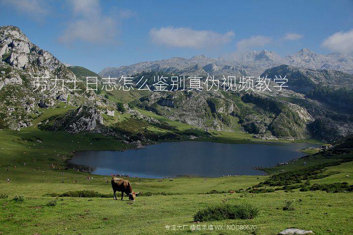 劳力士日志怎么鉴别真伪视频教学