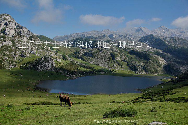 上海劳力士特约维修地址在哪里查询