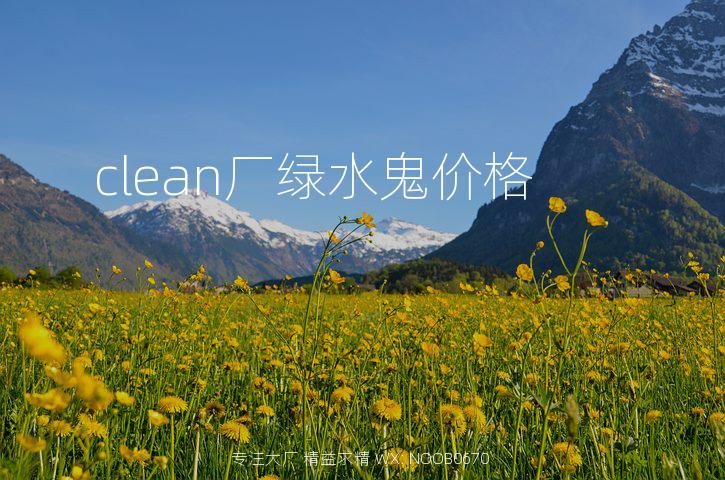 clean厂绿水鬼价格