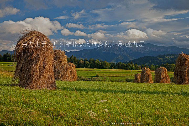 劳力士手表广州维修认向维多利广场a座九层