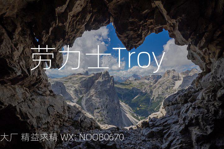 劳力士Troy