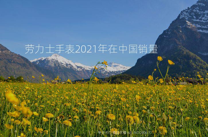 劳力士手表2021年在中国销量