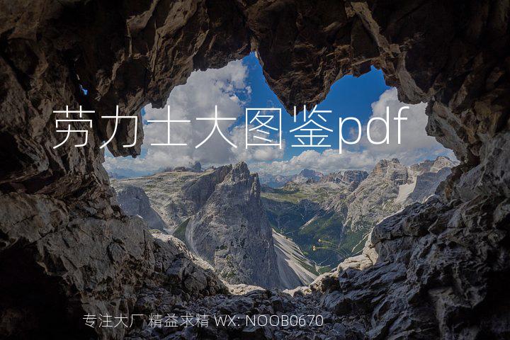 劳力士大图鉴pdf