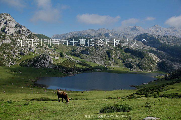 如何判别劳力士真假鉴别图片大全