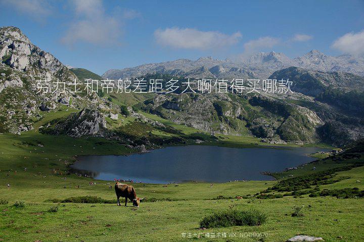 劳力士和帝舵差距多大啊值得买哪款