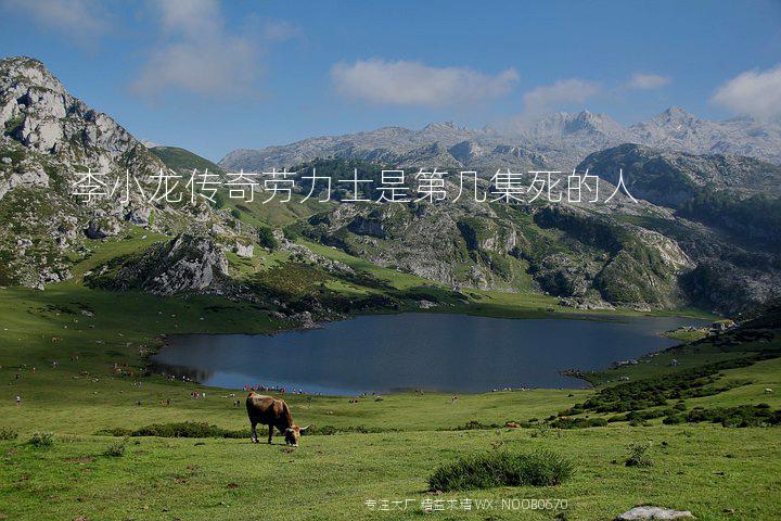 李小龙传奇劳力士是第几集死的人