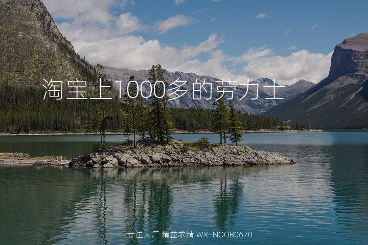 淘宝上1000多的劳力士