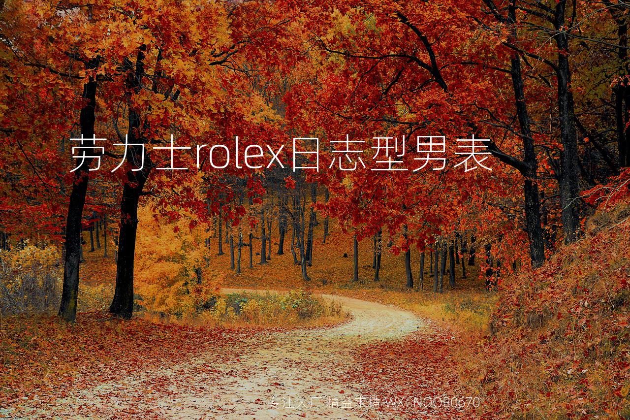 劳力士rolex日志型男表