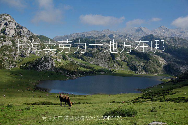 上海卖劳力士地方在哪