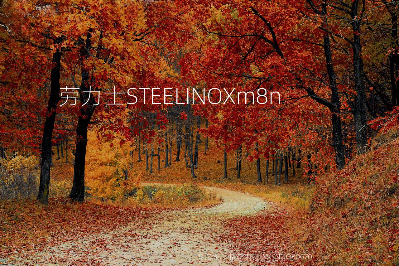 劳力士STEELINOXm8n