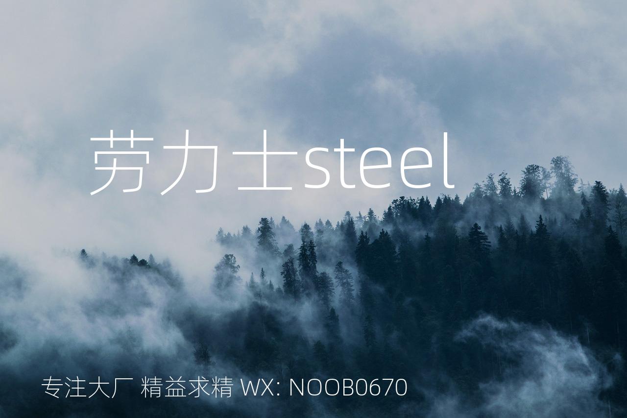 劳力士steel