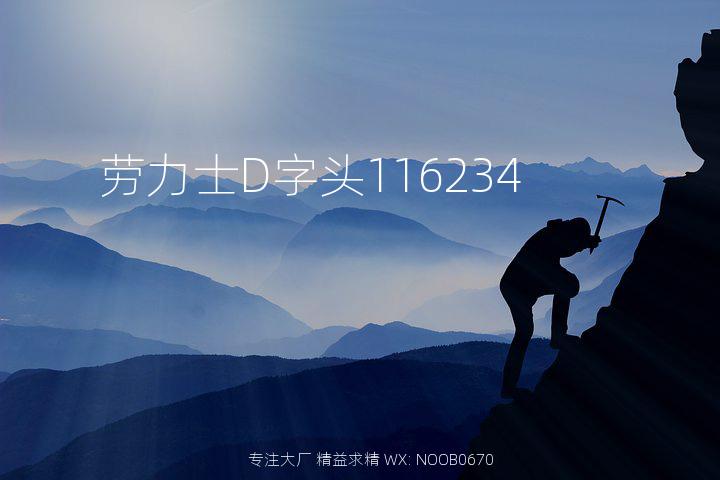 劳力士D字头116234