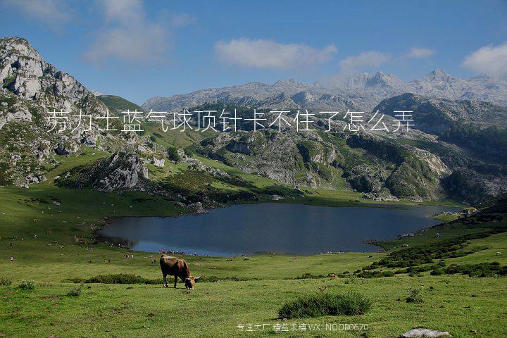 劳力士蓝气球顶针卡不住了怎么弄