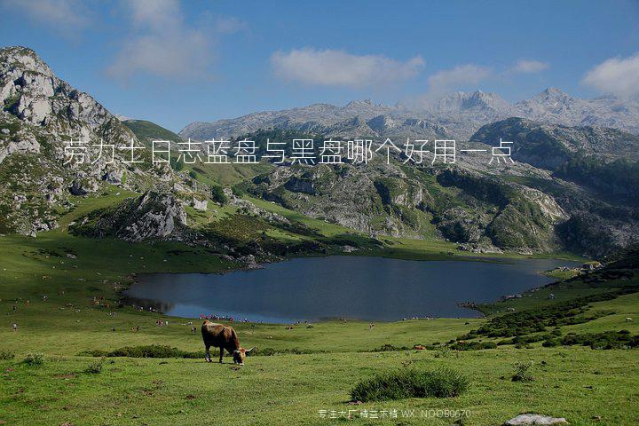 劳力士日志蓝盘与黑盘哪个好用一点