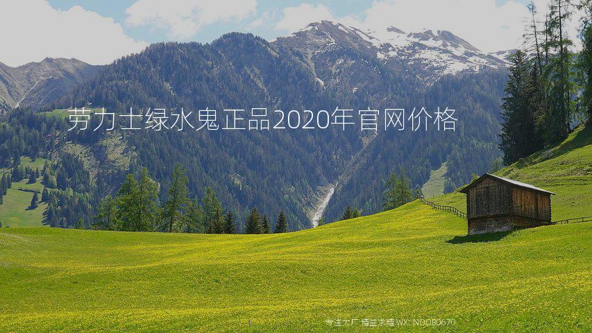 劳力士绿水鬼正品2020年官网价格