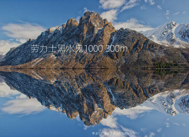 劳力士黑水鬼1000 300m