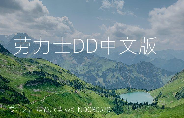 劳力士DD中文版