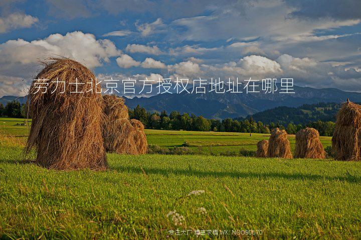 劳力士北京官方授权店地址在哪里